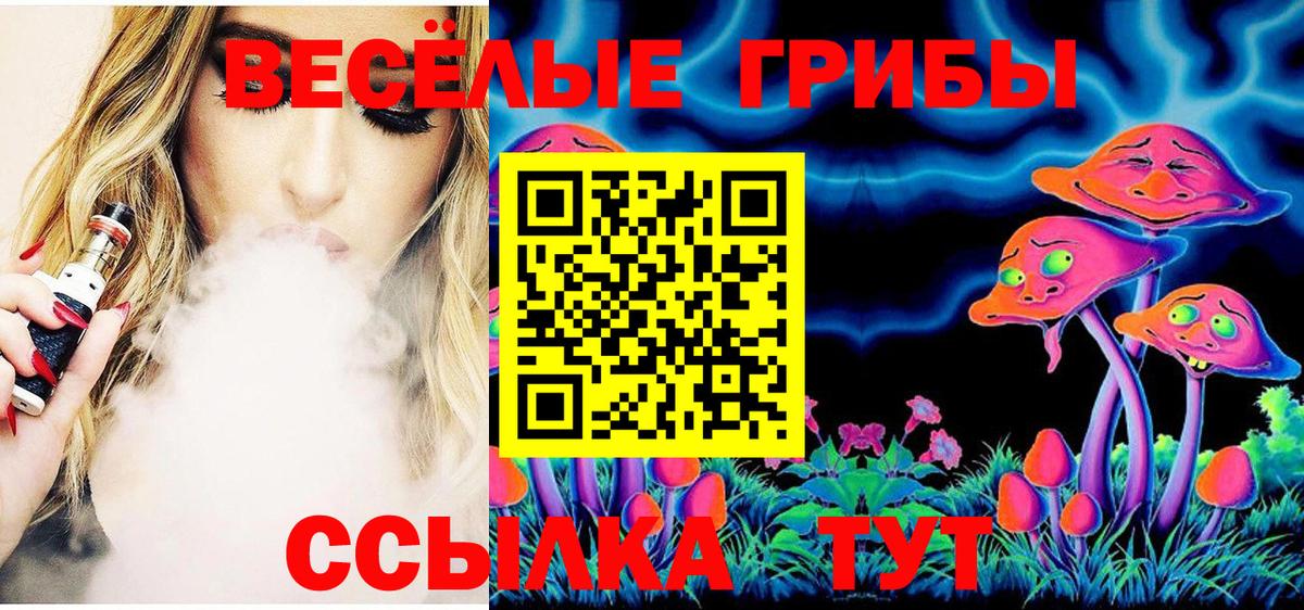 Галлюциногенные грибы Psilocybe  Вход с VPN  Джанкой 